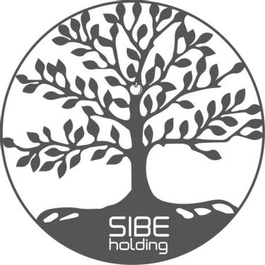 logo-sibe-holding